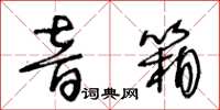 王冬龄音箱草书怎么写