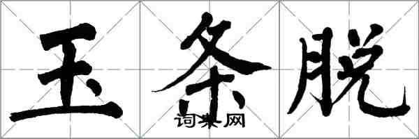 翁闿运玉条脱楷书怎么写
