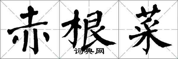 翁闿运赤根菜楷书怎么写