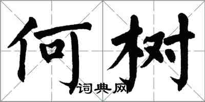 翁闿运何树楷书怎么写