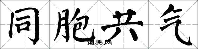 翁闿运同胞共气楷书怎么写