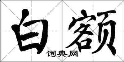 翁闿运白额楷书怎么写