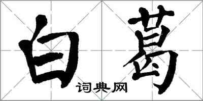 翁闿运白葛楷书怎么写
