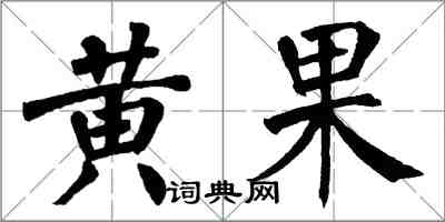 翁闿运黄果楷书怎么写