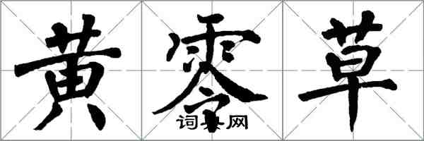 翁闿运黄零草楷书怎么写