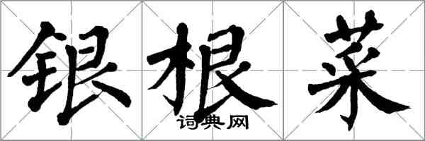 翁闿运银根菜楷书怎么写