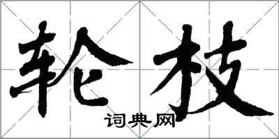 翁闿运轮枝楷书怎么写