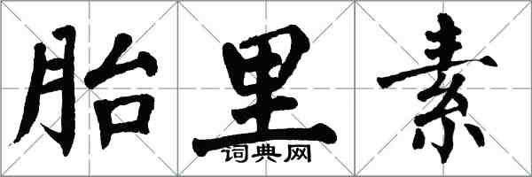 翁闿运胎里素楷书怎么写