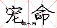 庞中华宠命行书怎么写