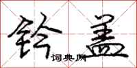 庞中华钤盖行书怎么写