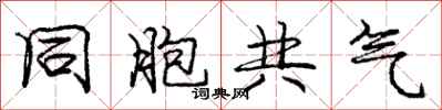 庞中华同胞共气行书怎么写