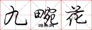 庞中华九畹花行书怎么写