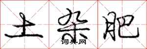 庞中华土杂肥行书怎么写