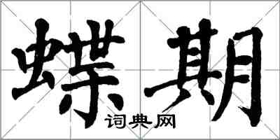翁闿运蝶期楷书怎么写