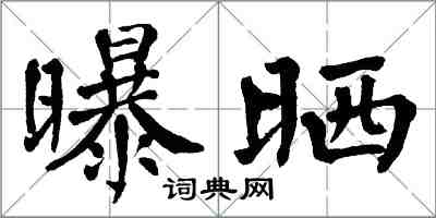翁闿运曝晒楷书怎么写
