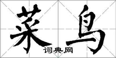 翁闿运菜鸟楷书怎么写