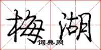 庞中华梅湖行书怎么写