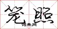 庞中华笼照行书怎么写