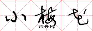 王冬龄小梅花草书怎么写