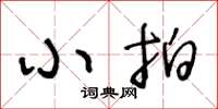 王冬龄小拍草书怎么写