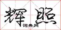 庞中华辉照行书怎么写