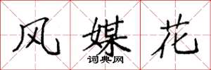 袁强风媒花楷书怎么写