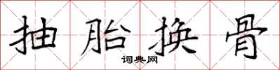袁强抽胎换骨楷书怎么写