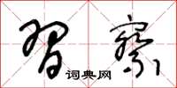 王冬龄习察草书怎么写