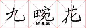 袁强九畹花楷书怎么写