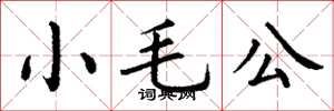 丁谦小毛公楷书怎么写