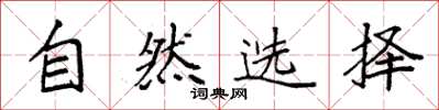 袁强自然选择楷书怎么写