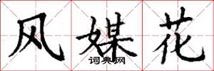 丁谦风媒花楷书怎么写