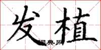 丁谦发植楷书怎么写
