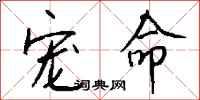 钱沛云宠命行书怎么写