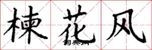 丁谦楝花风楷书怎么写