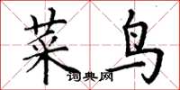 丁谦菜鸟楷书怎么写