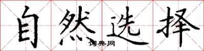 丁谦自然选择楷书怎么写