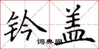 丁谦钤盖楷书怎么写
