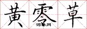丁谦黄零草楷书怎么写