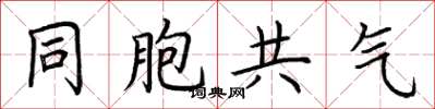 荆霄鹏同胞共气楷书怎么写