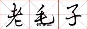 曾庆福老毛子行书怎么写