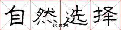 曾庆福自然选择隶书怎么写
