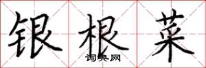 荆霄鹏银根菜楷书怎么写