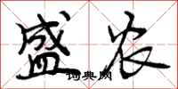曾庆福盛农行书怎么写