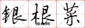 曾庆福银根菜行书怎么写