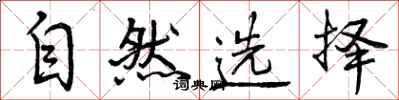 曾庆福自然选择行书怎么写