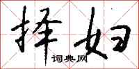 钱沛云择妇行书怎么写