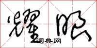 王冬龄耀眼草书怎么写