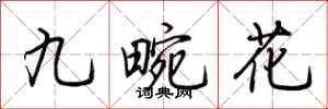 荆霄鹏九畹花行书怎么写