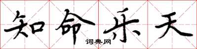 周炳元知命乐天楷书怎么写